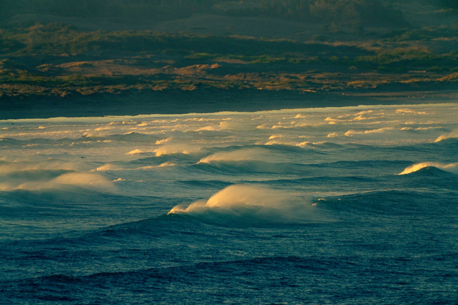 Golden hour aerial view of rolling ocean waves with warm sunlight reflecting off the water.
