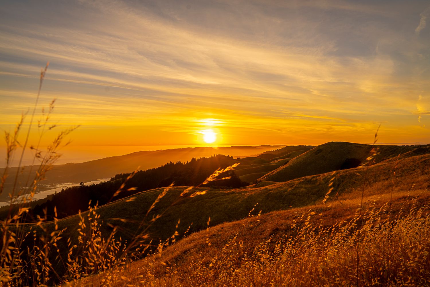 Golden sunset over rolling green hills with dramatic orange sky and wispy clouds near a coastal landscape.