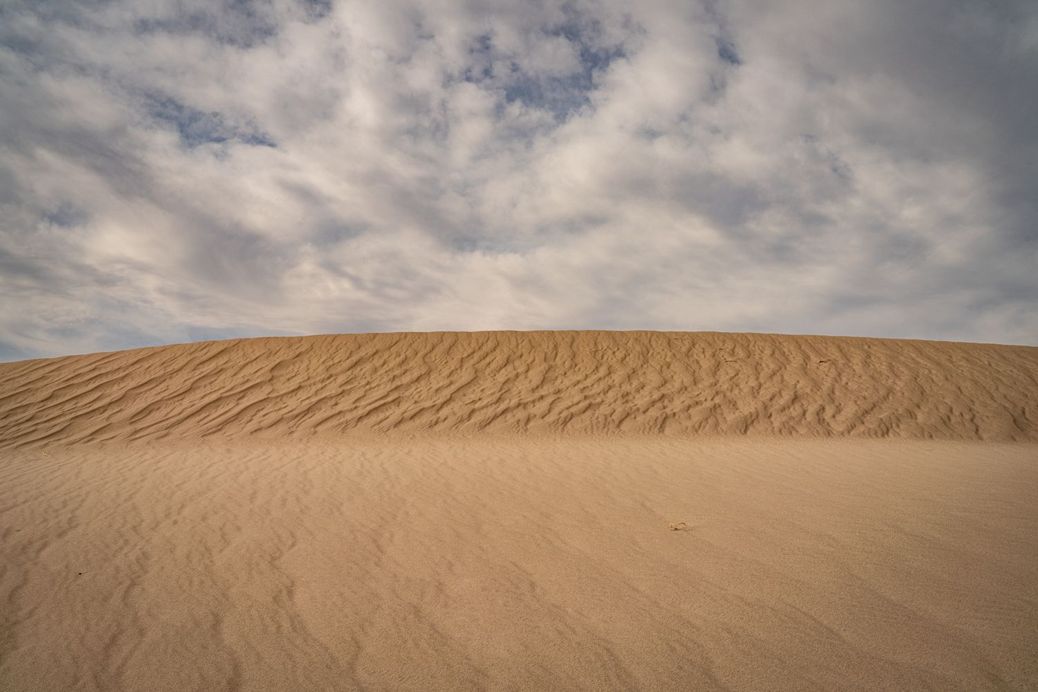 Minimalist desert scene featuring a smooth sand dune with wind-rippled texture beneath a cloudy sky.