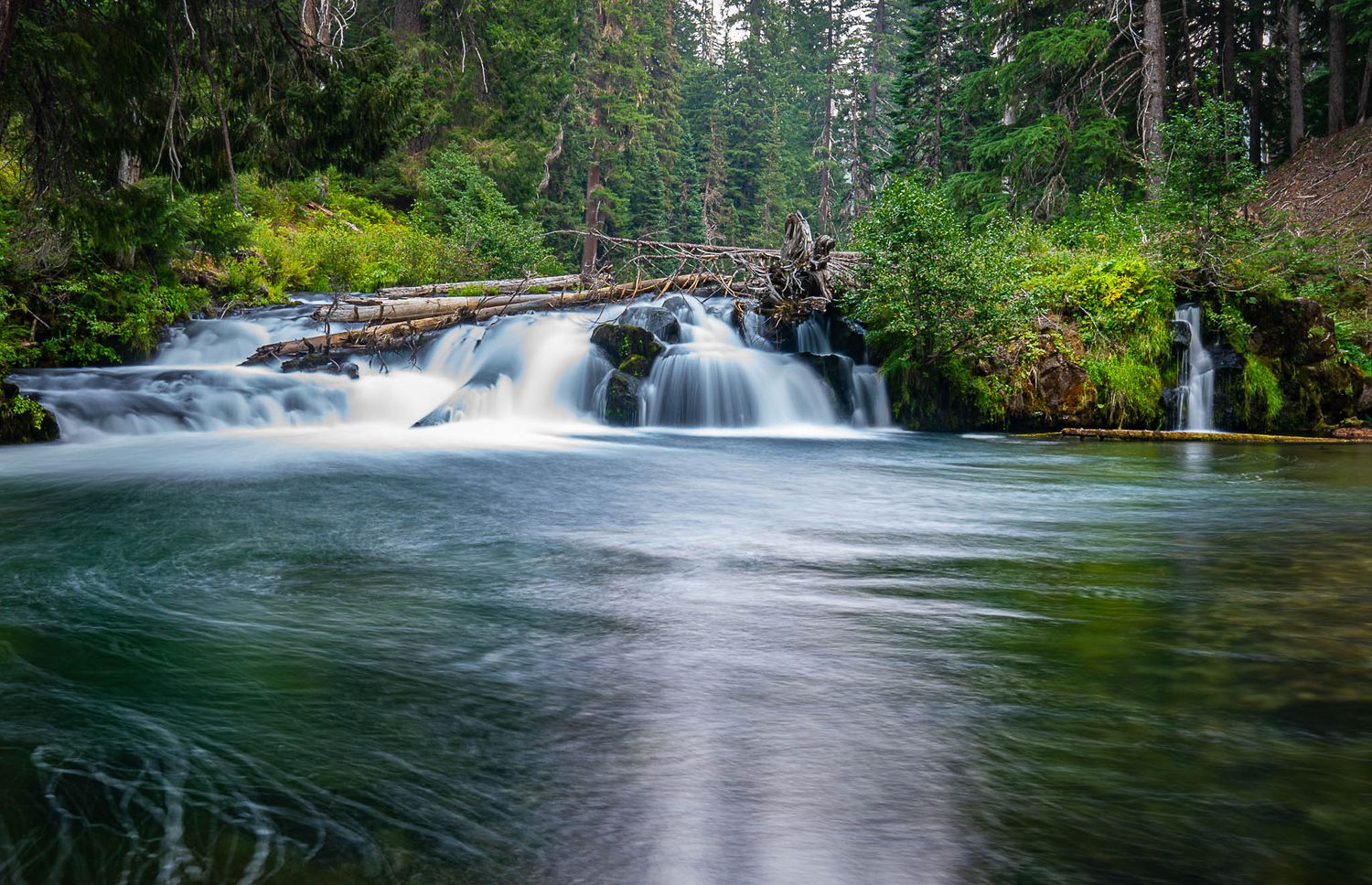 Serene forest waterfall cascading over mossy rocks into a clear turquoise river surrounded by tall evergreen trees.