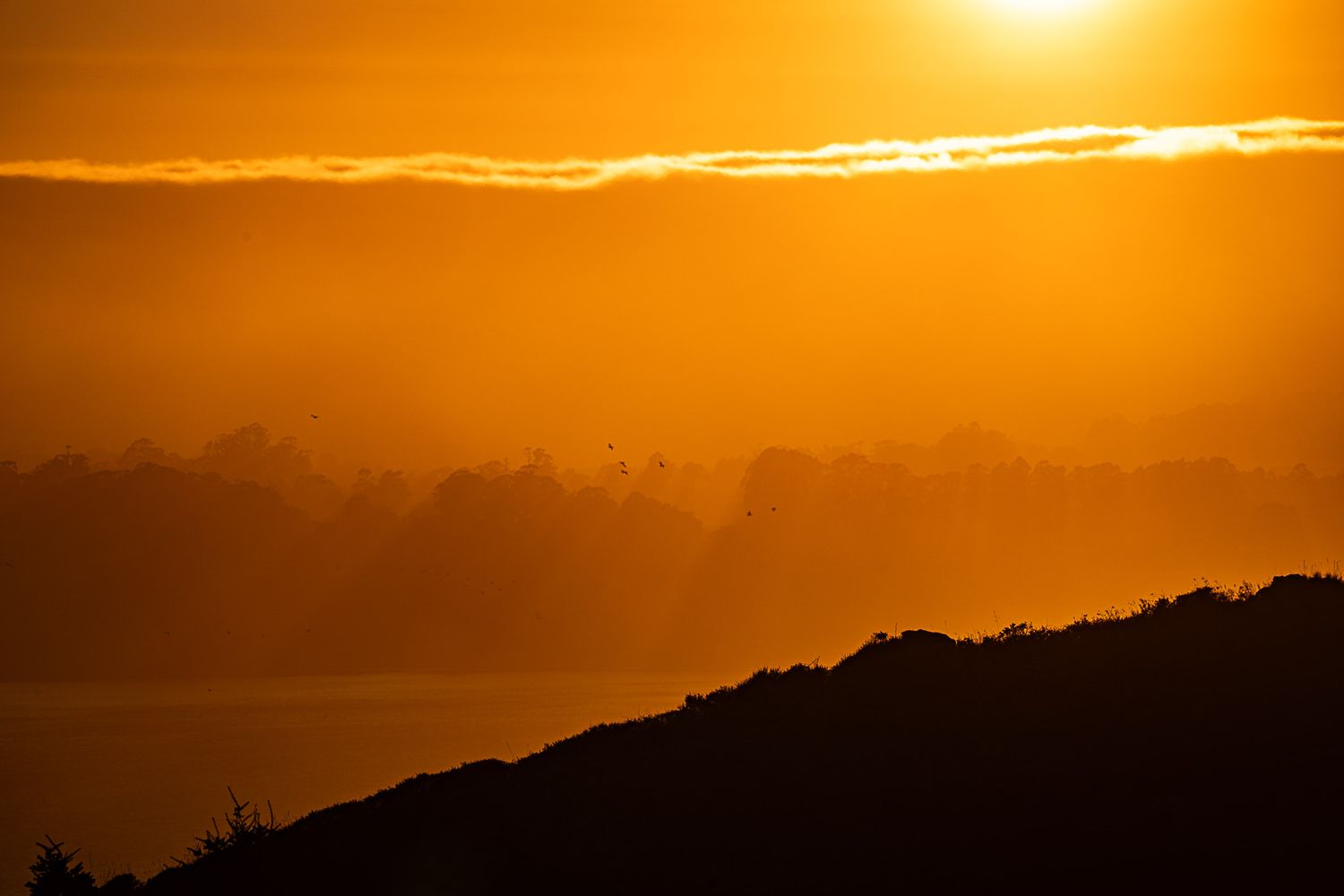 Golden sunset casting warm orange hues over silhouetted hills and misty coastal landscape.