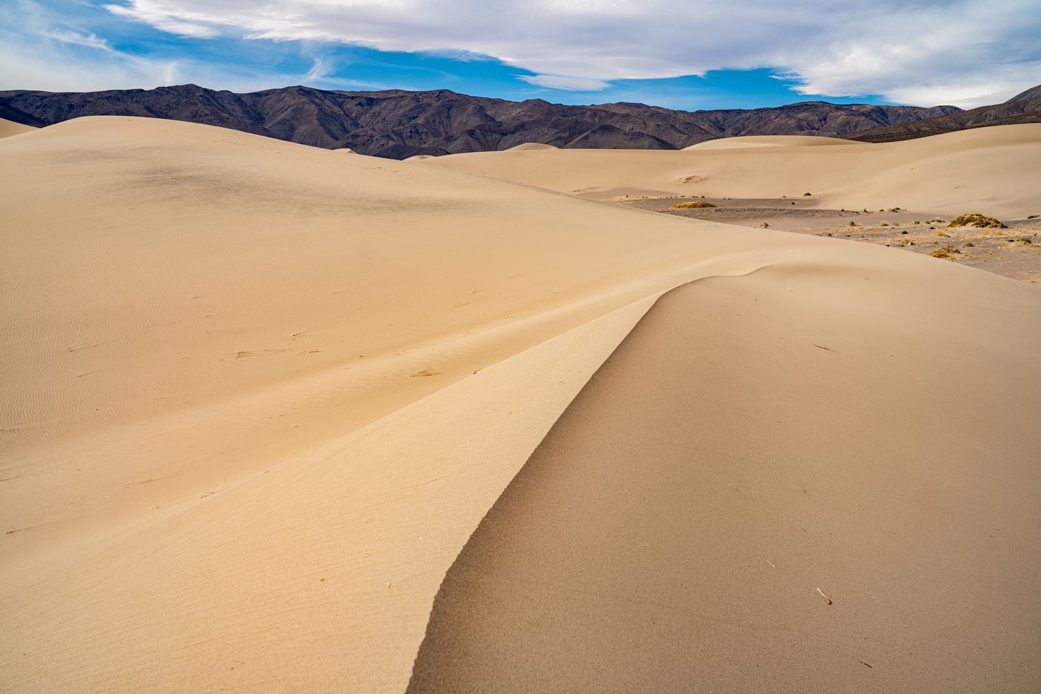 Curving sand dune ridge with footprints leads toward rocky mountains under a partly cloudy blue sky.