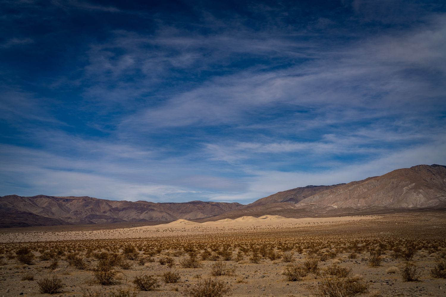 Arid desert plain with sparse shrubs and sandy dunes backed by rugged brown mountains under blue sky.