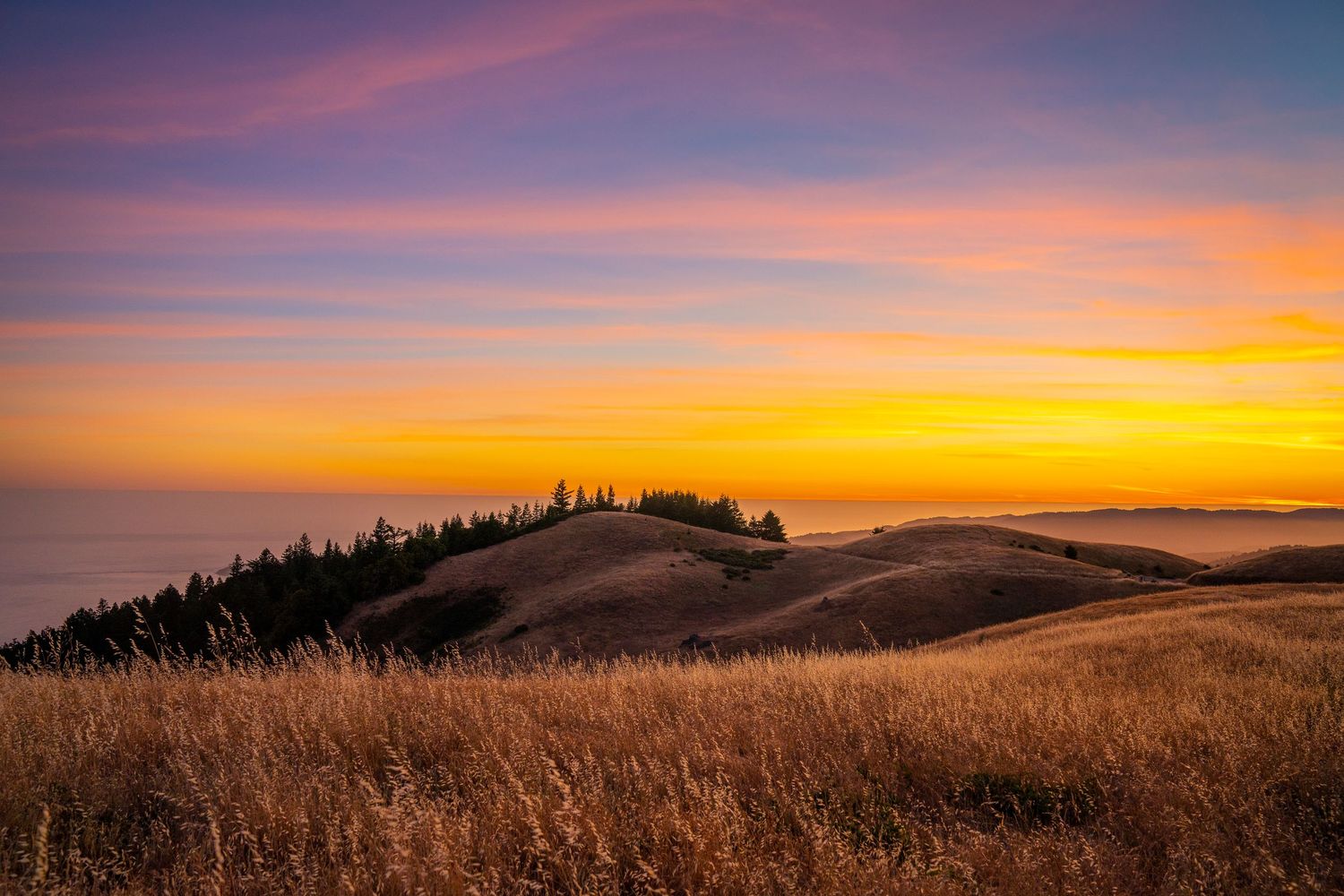 Golden hills with pine trees glow under a vibrant sunset sky in shades of orange, pink, and purple.