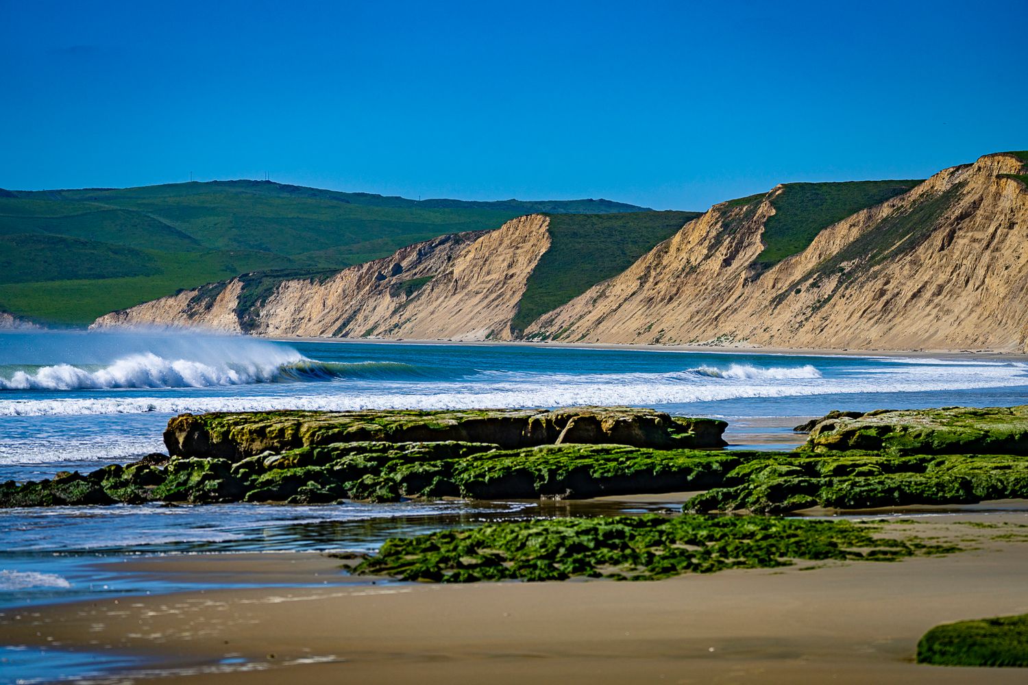 Moss-covered rocks line a sandy beach with crashing waves and towering golden cliffs under a bright blue sky.