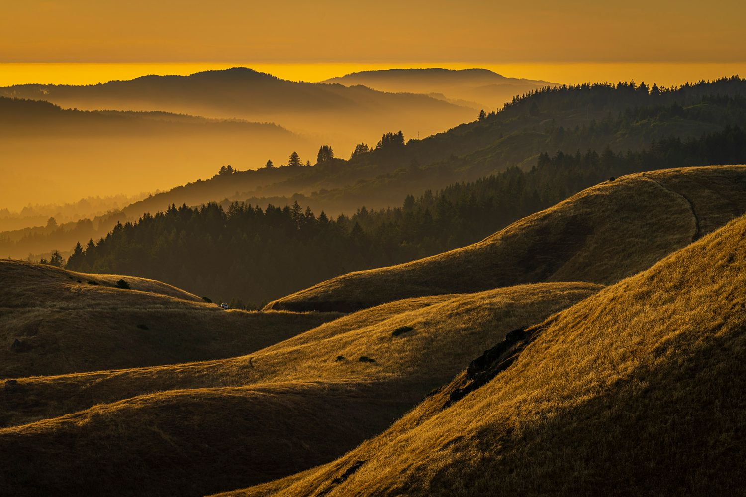 Golden sunset illuminates rolling hills and misty valleys with silhouetted trees in a serene landscape.