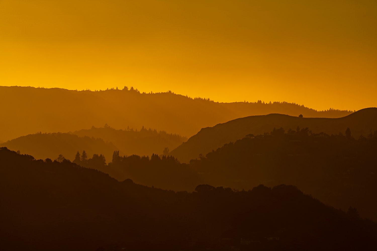 Layered golden silhouettes of forested hills create a stunning sunset landscape with warm orange hues.
