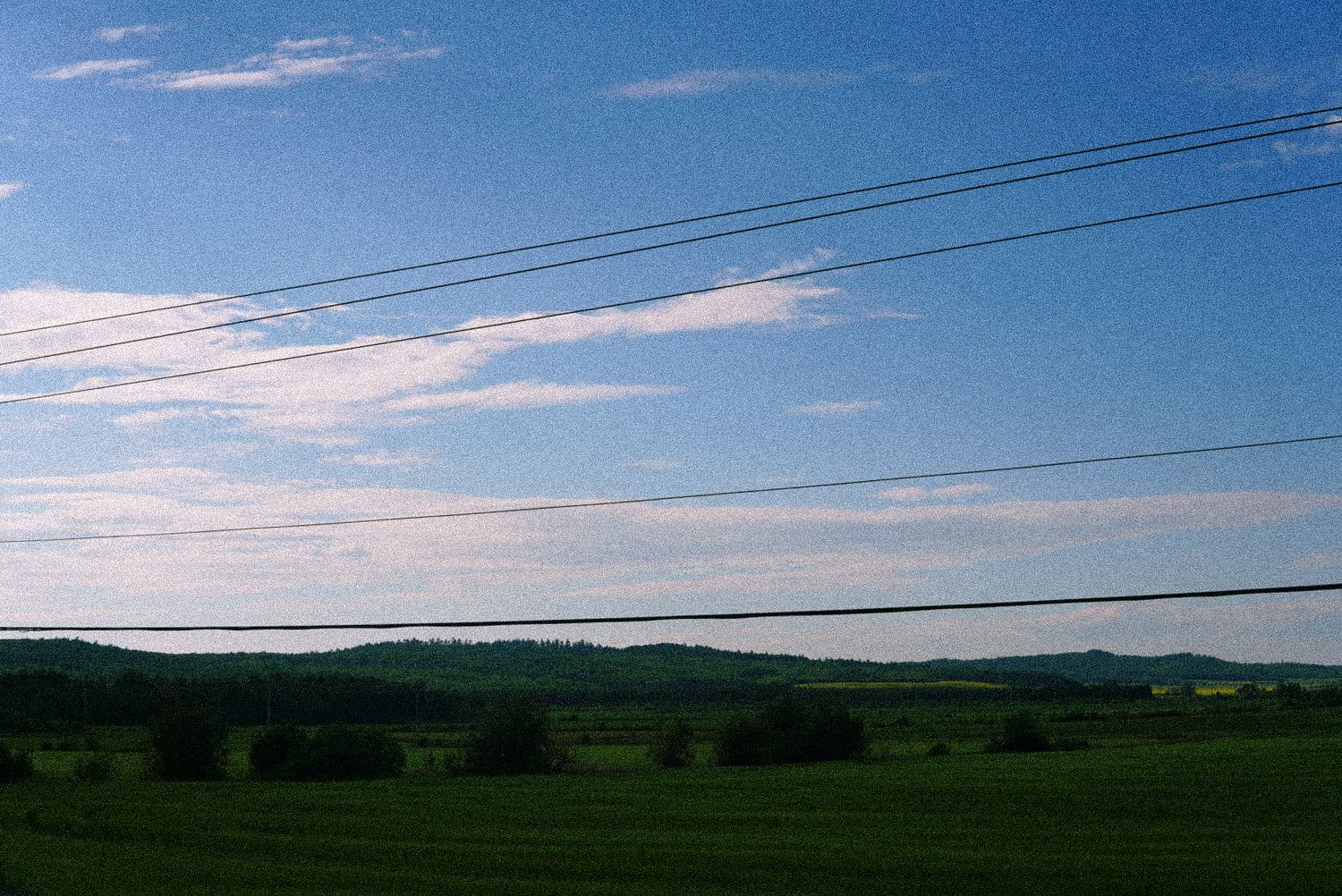 Selected photography and visual work by Wisely's Mind an Ottawa-based Visual Storyteller & Director.