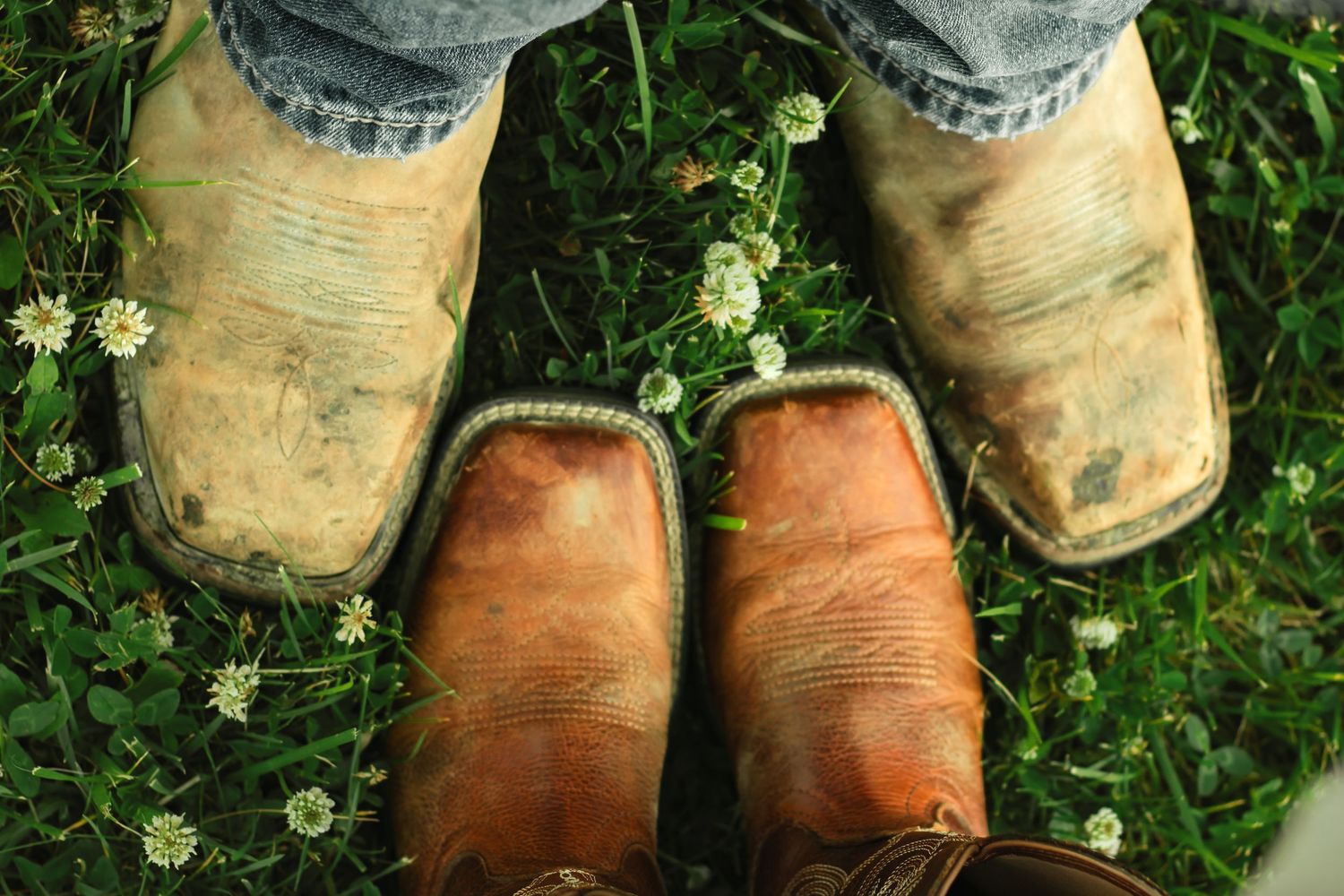Two pairs of muddy worn cowboy boots standing on green grass with small white clover flowers between them.