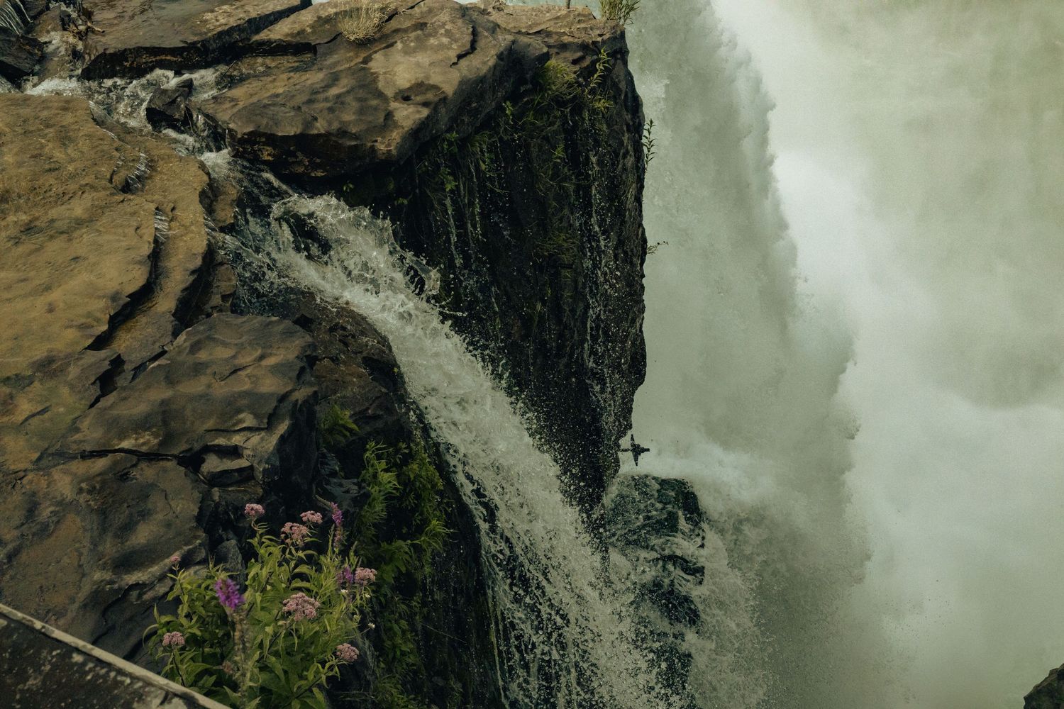 Powerful waterfall cascading over rugged rocky cliffs with wild pink flowers in the foreground.