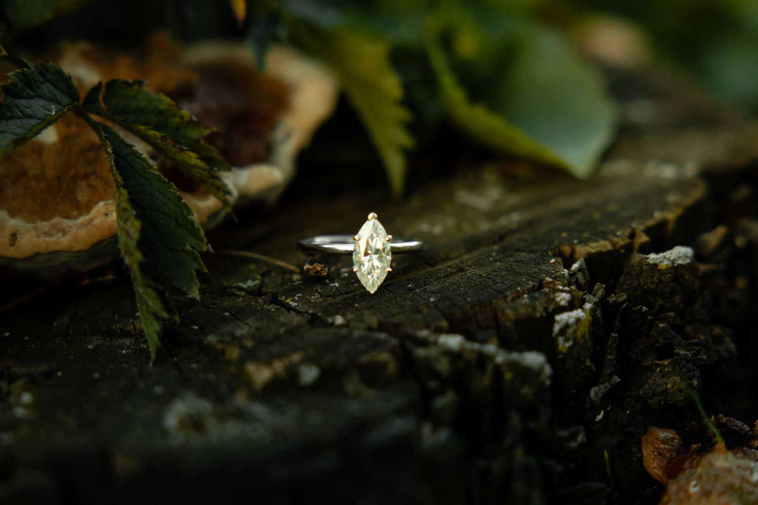 Marquise diamond solitaire engagement ring displayed on dark wood surrounded by green leaves and natural elements.