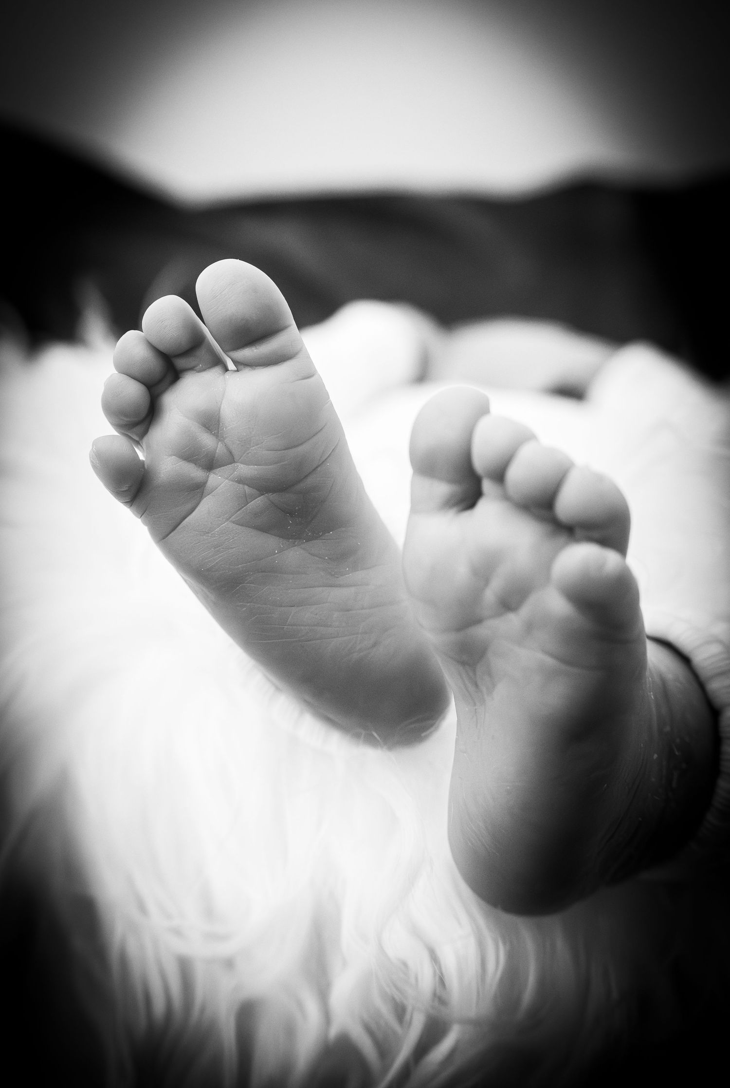 A series of black and white photographs showing tiny baby feet in a soft, dreamy style with vignette edges.