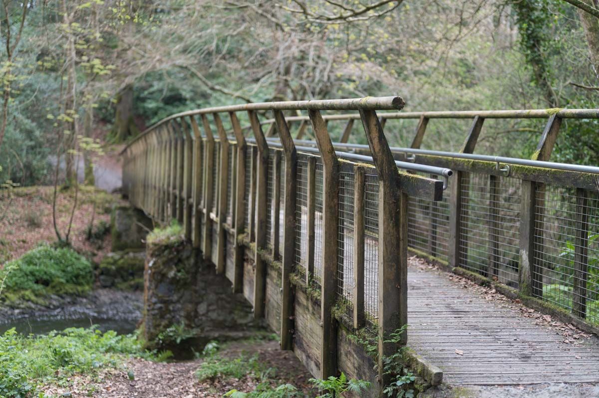 Bridge in Clare Glen.