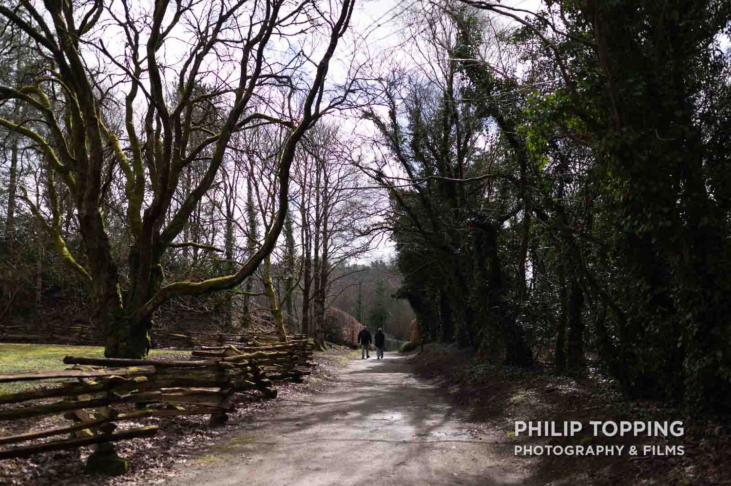 Trees on both sides of the path.