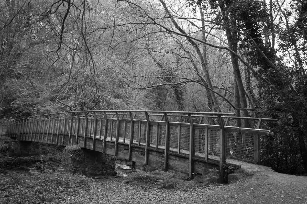 Mono image of a drawbridge leading to the other side of the river.