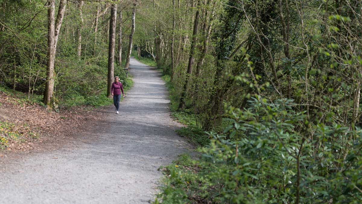 Lone walker along the path.
