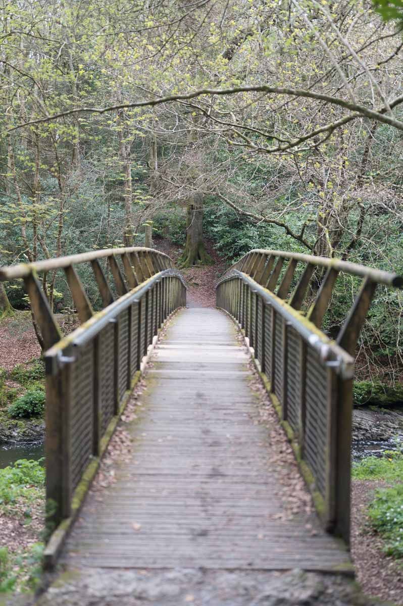 Start of bridge.
