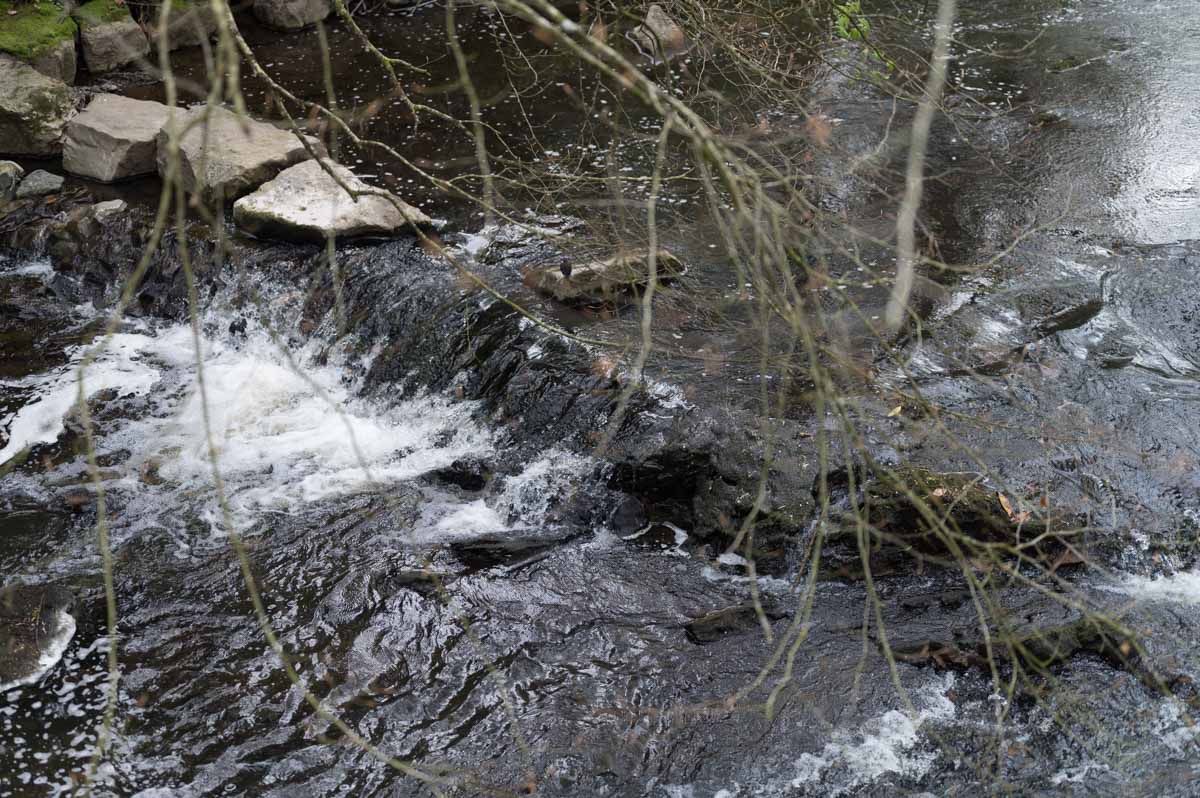 Water crashes against stones.