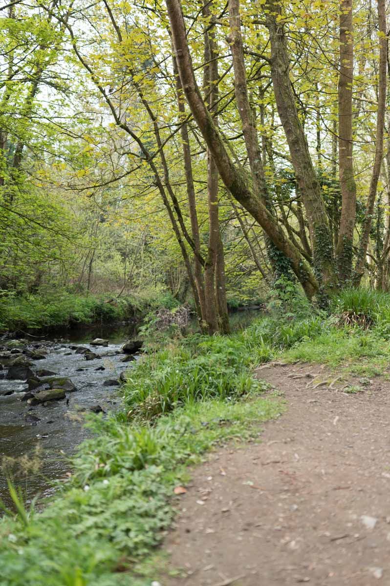 Path beside the river in Tandragee.