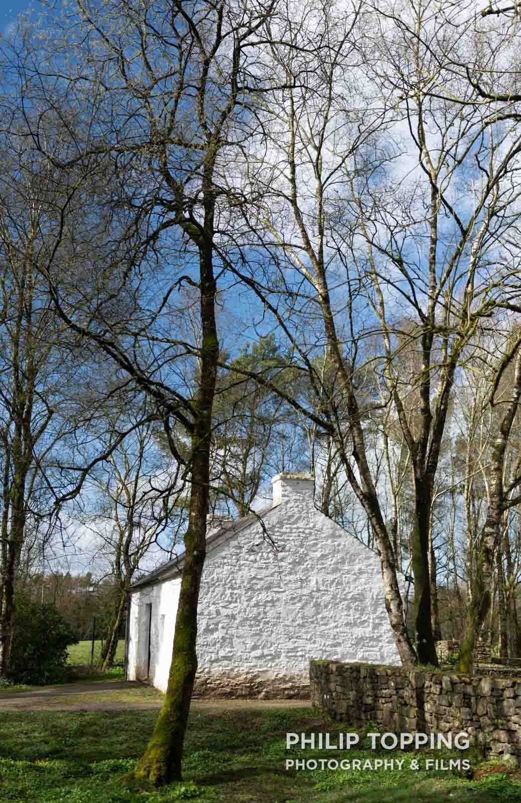 Trees beside the white cottage in Ulster American Folk Park in Omagh.