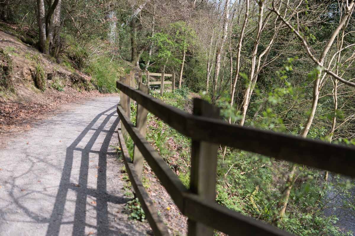 Shadow of a wooden fence on the path.