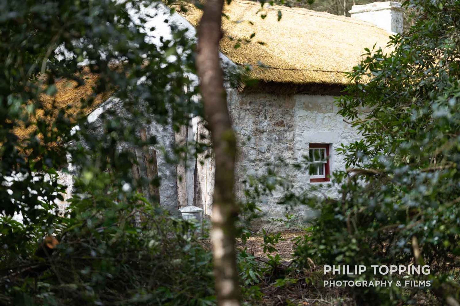 Cottage through trees.