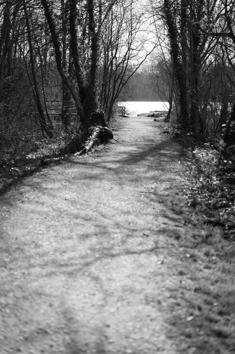 Mono image of trees on either side of the path and the lake in the distance, photographed by Philip Exploring.