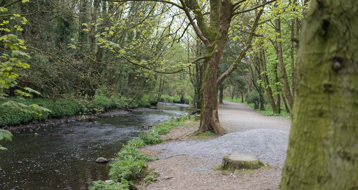 Path along the river.