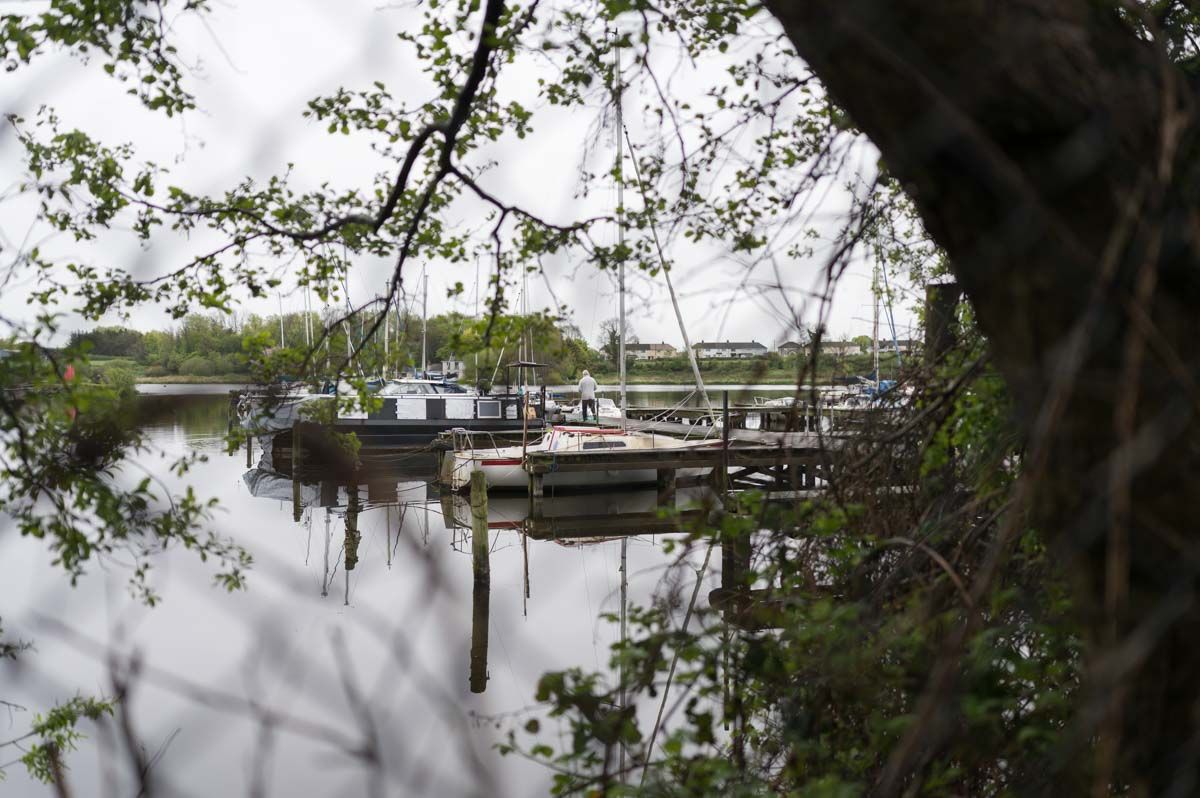 Branches and trees in silhouette in the foreground with boats in the background.