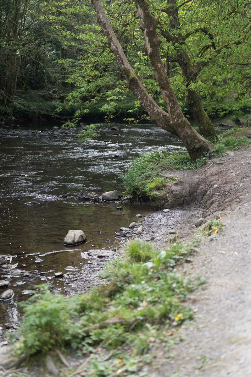 Path beside the river.