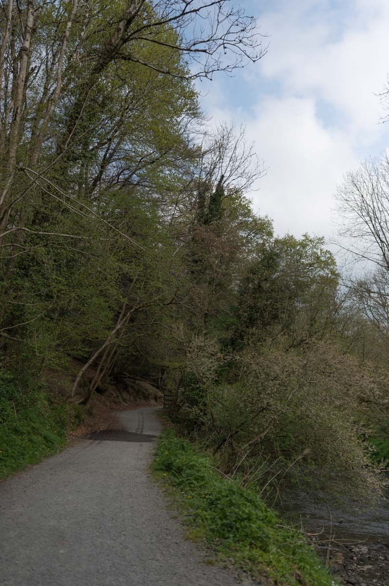 Clare Glen is ideal for walking trails.