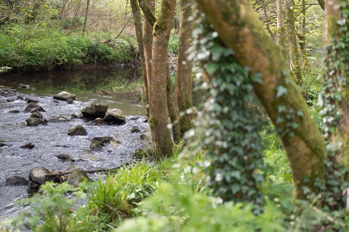 Large stones in the Clare River.
