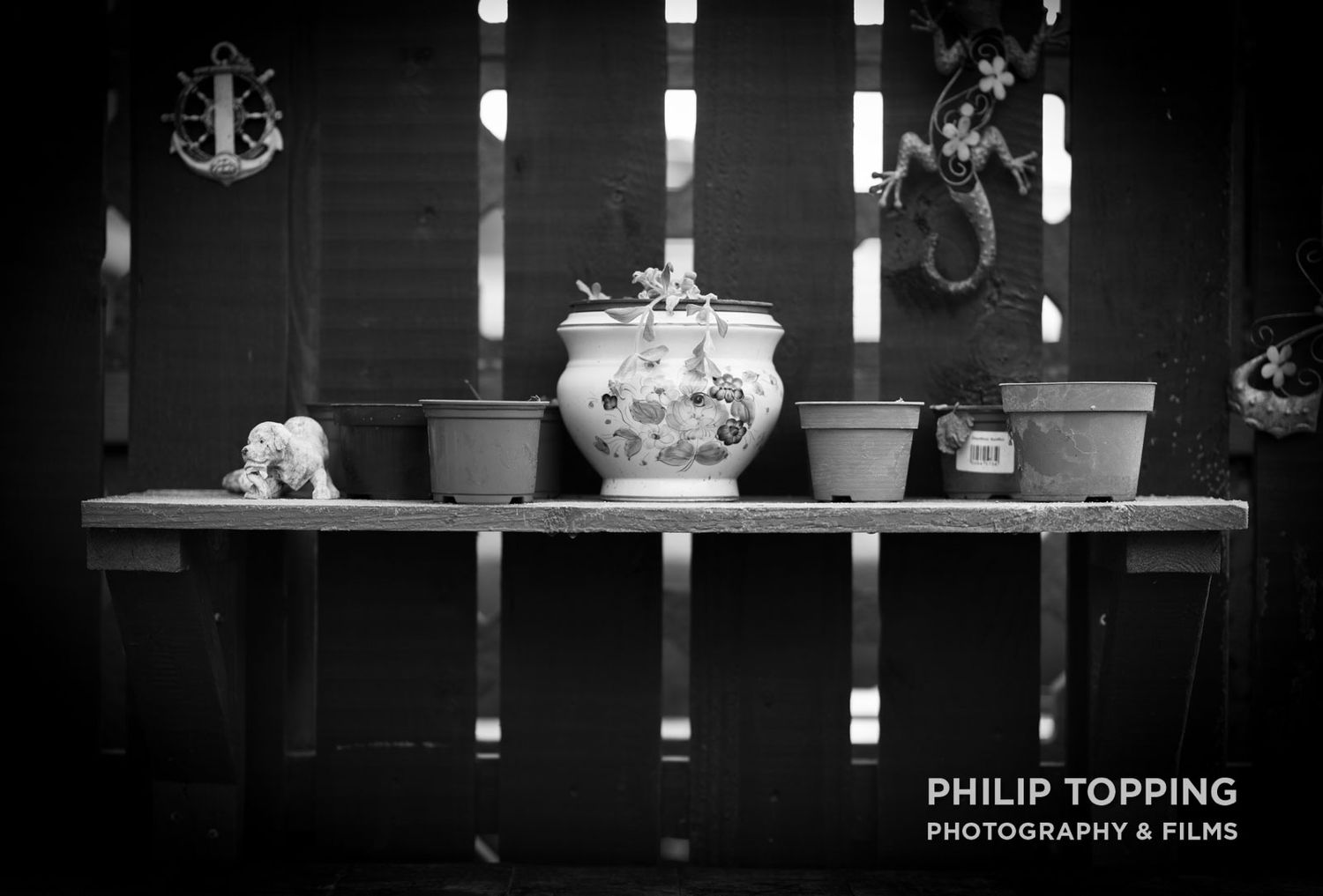 The theme was cold with the Focus Photography Club, so I took photos of the back garden.