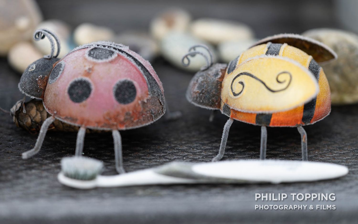Frozen ladybird ornaments on the table top in County Armagh, photographed as part of the photography club competition.