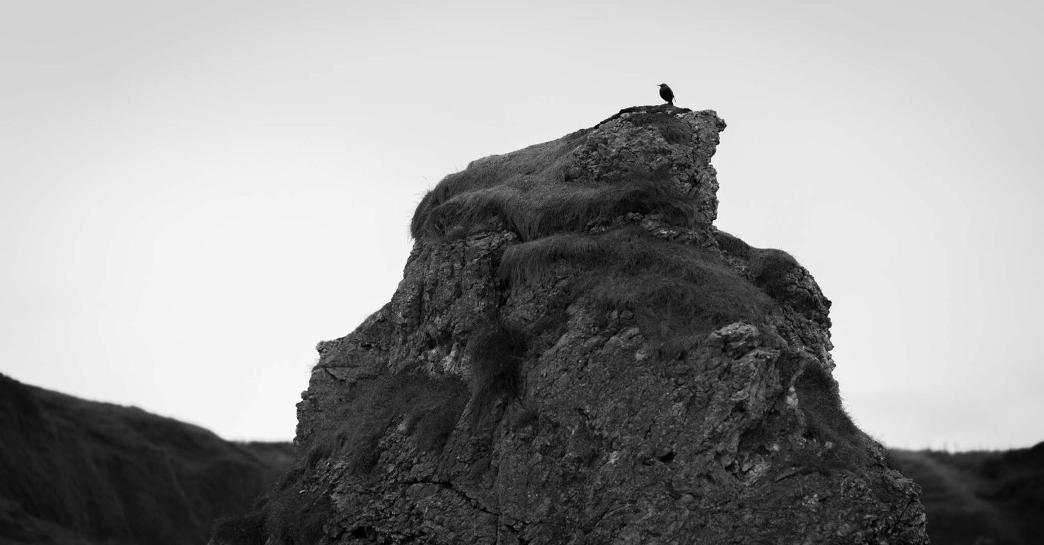 Photo club trip to Portrush, as we photographed rocks beside the beach.