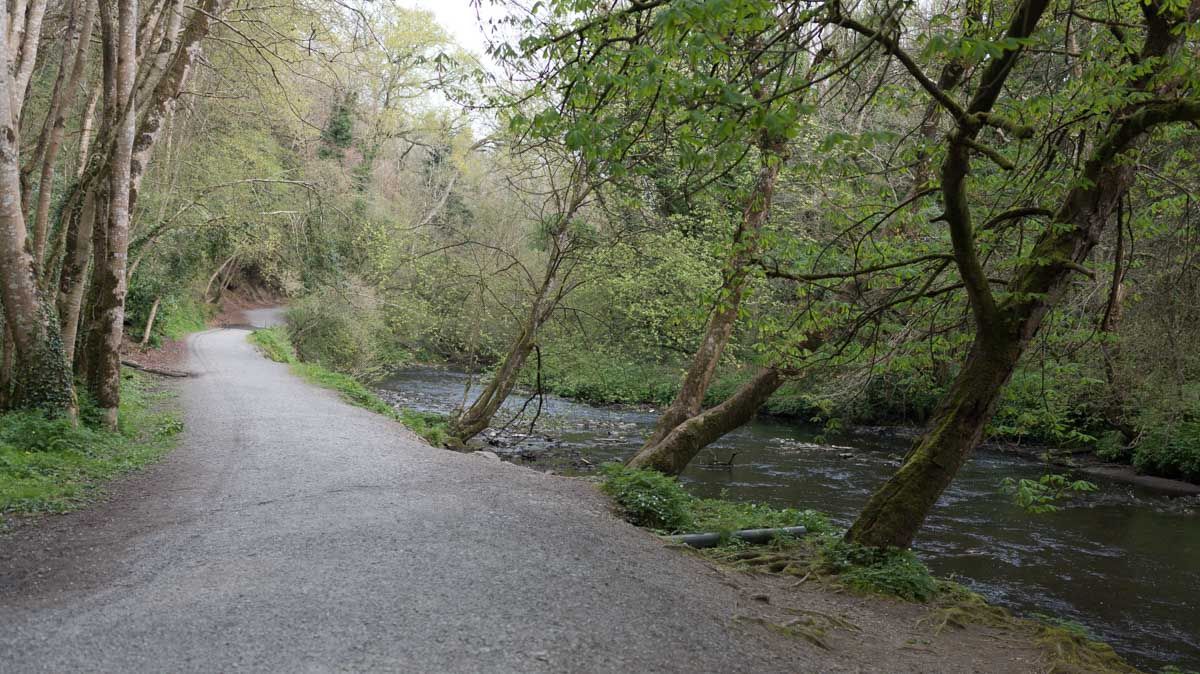Photo showing a wide path.