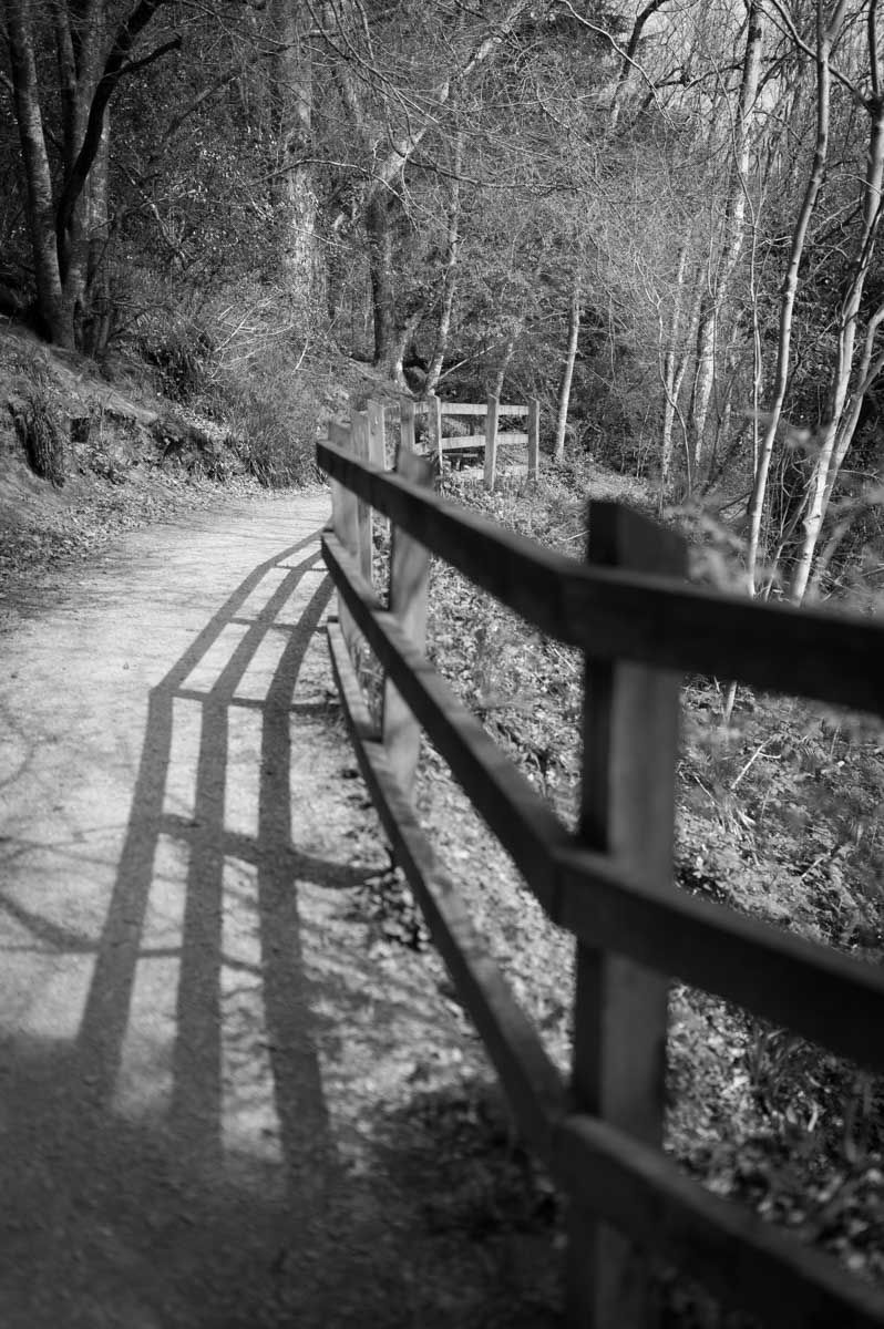 Mono photo of the shadow of the fence.
