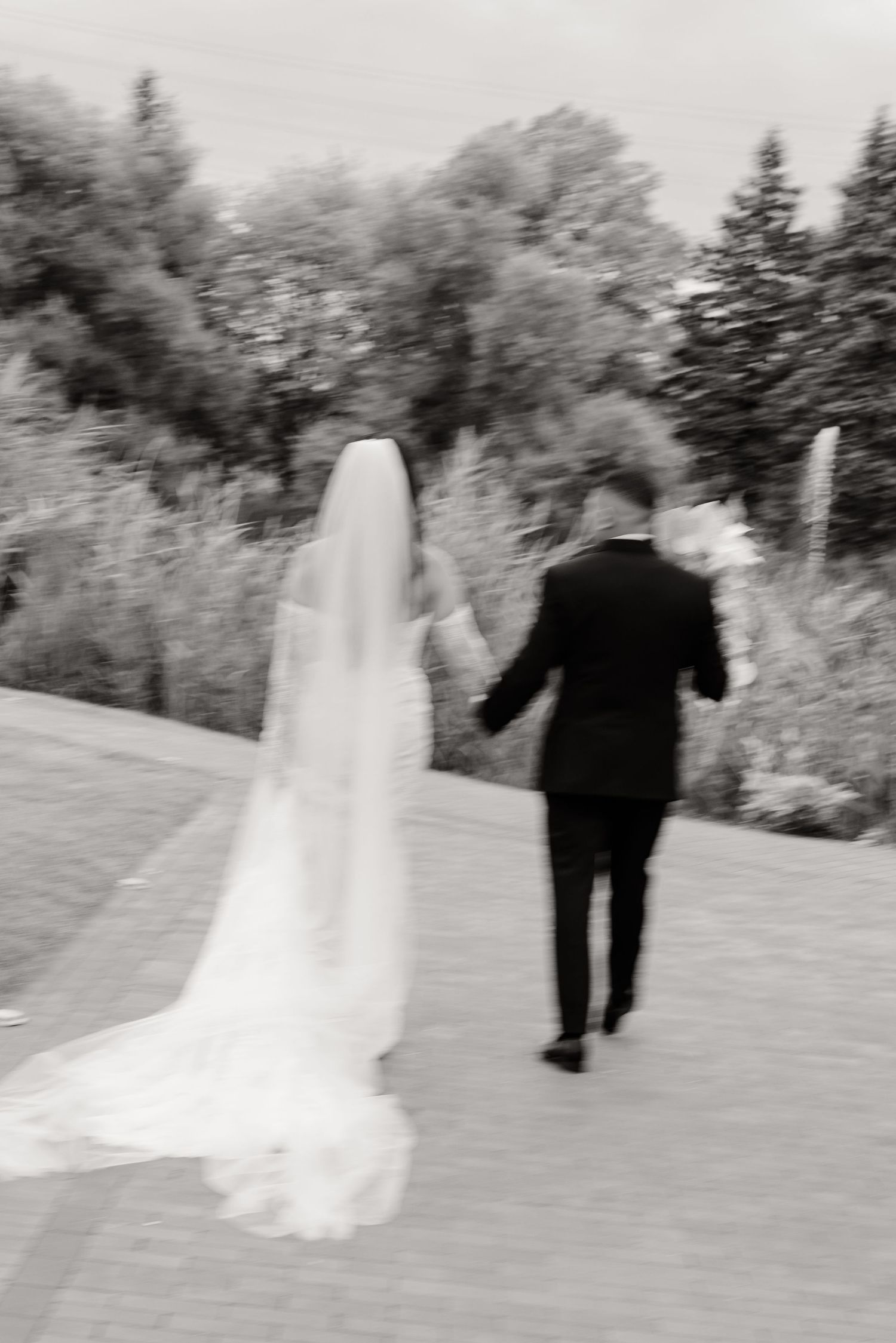 A sequence of blurry black and white photos showing a couple walking away on a snowy winter path.