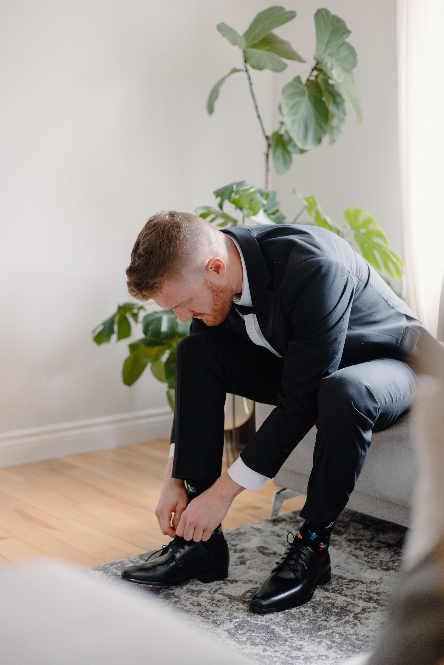 Person in dark suit ties shoelaces while sitting in modern room with fiddle leaf fig plant.