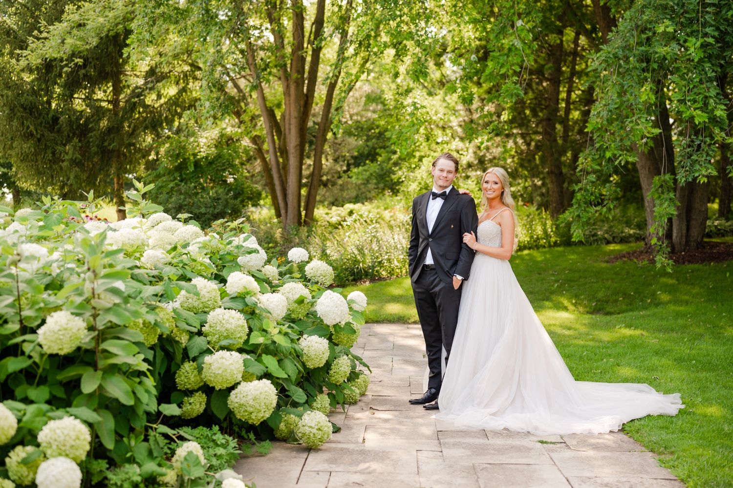 Wedding couple stands beside blooming white hydrangea bushes on stone garden path.