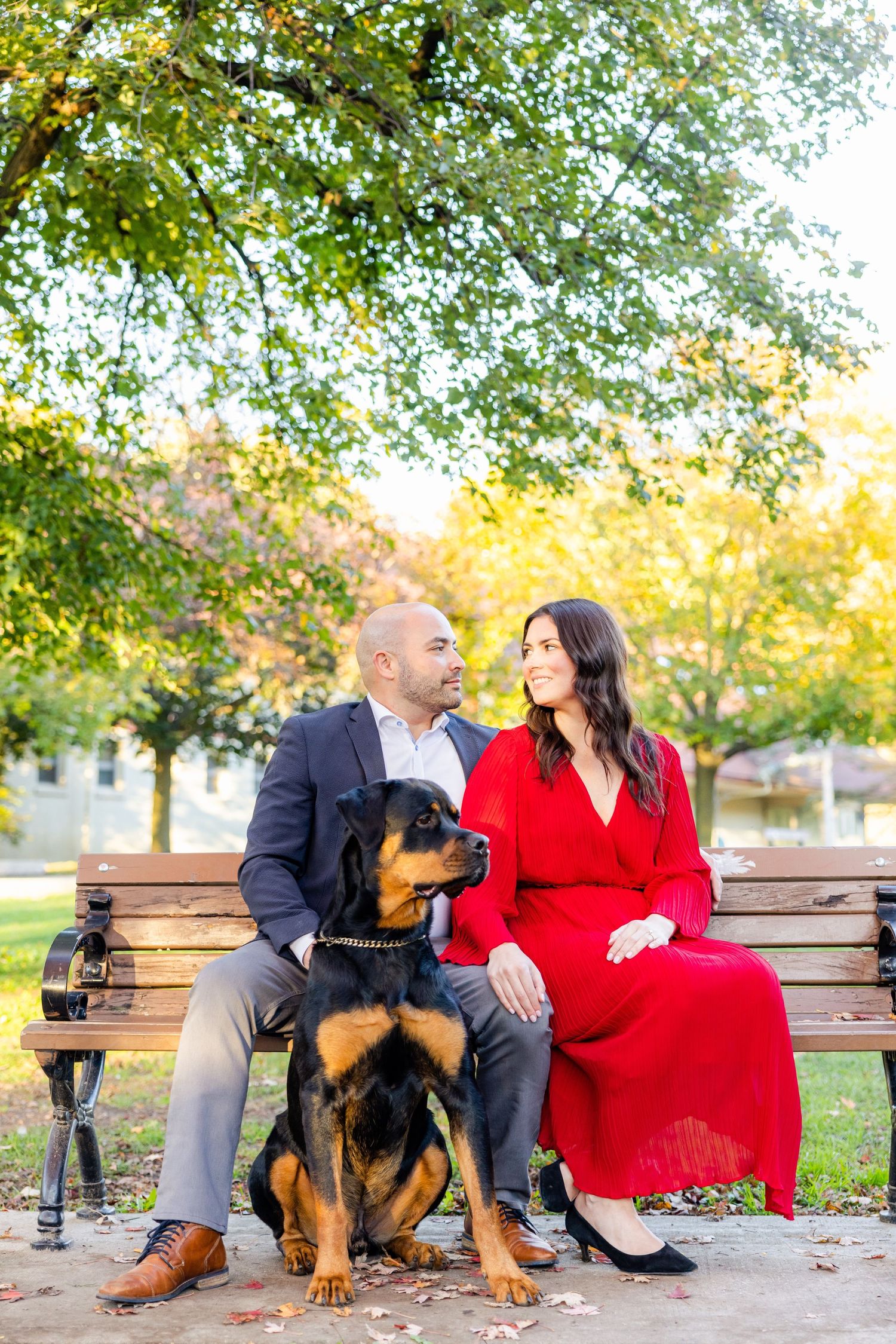 Couple sits on park bench with their Rottweiler during autumn outdoor photoshoot.