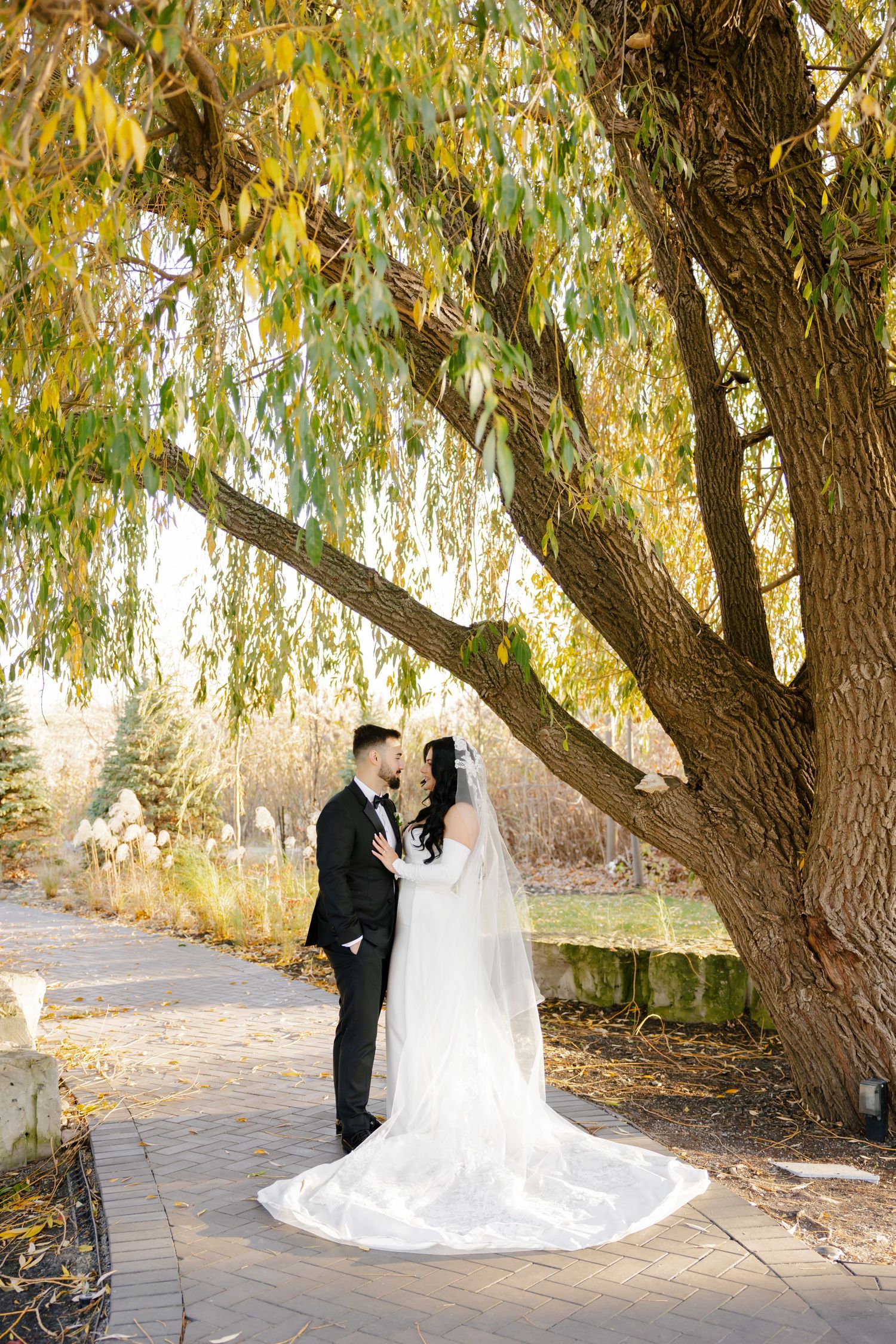 A romantic wedding photo under a weeping willow tree with soft autumn light filtering through the branches.