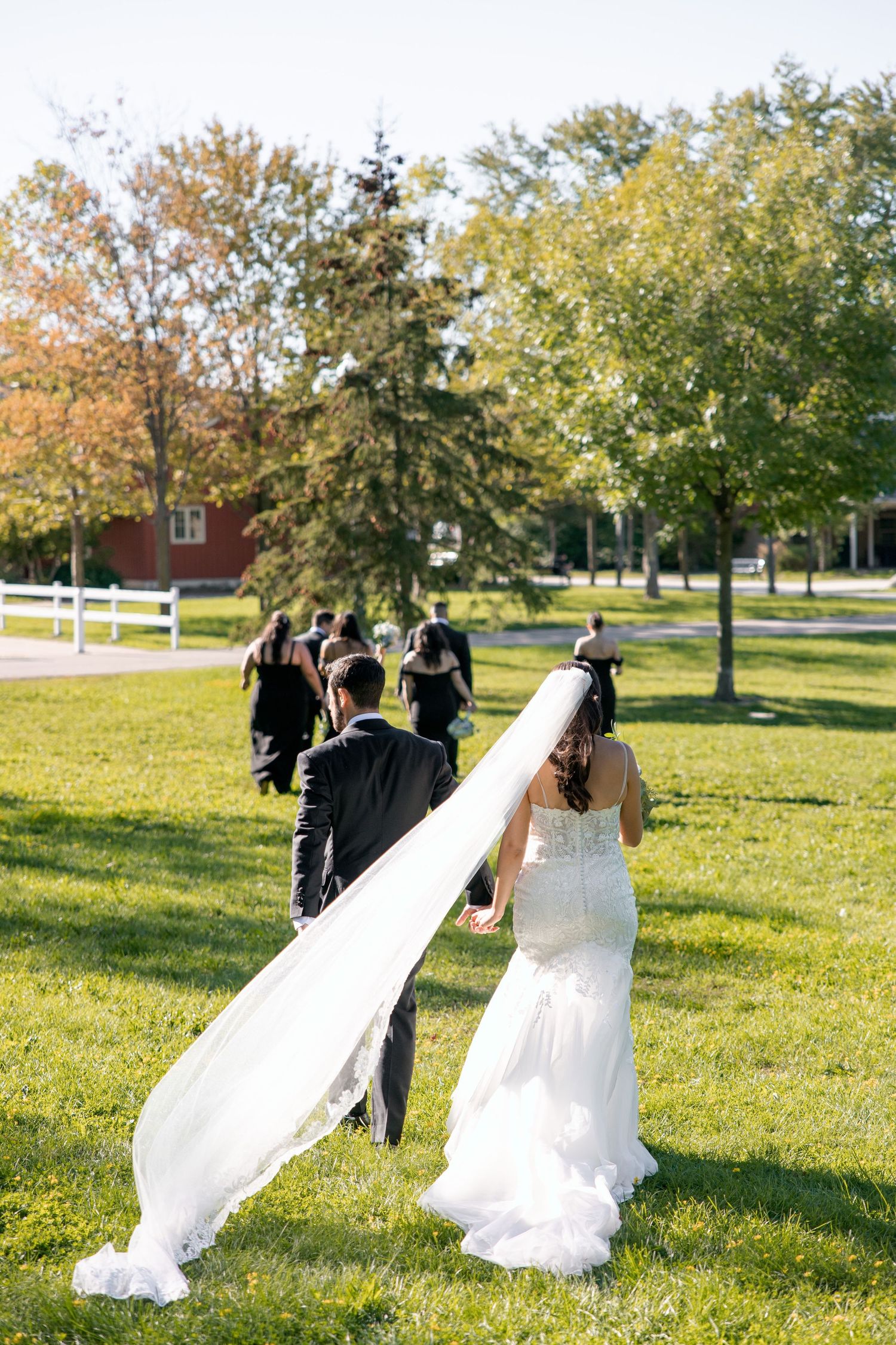 A long flowing white wedding veil trails behind in a sunny outdoor garden setting with trees and white fencing.