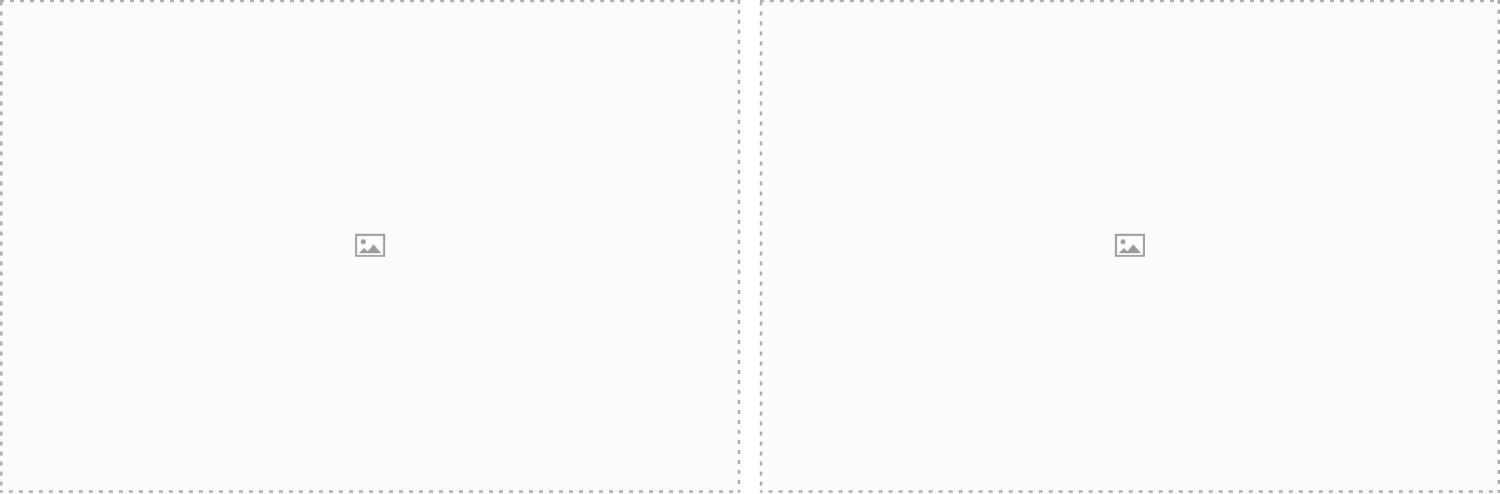 Blank white image placeholders side by side.