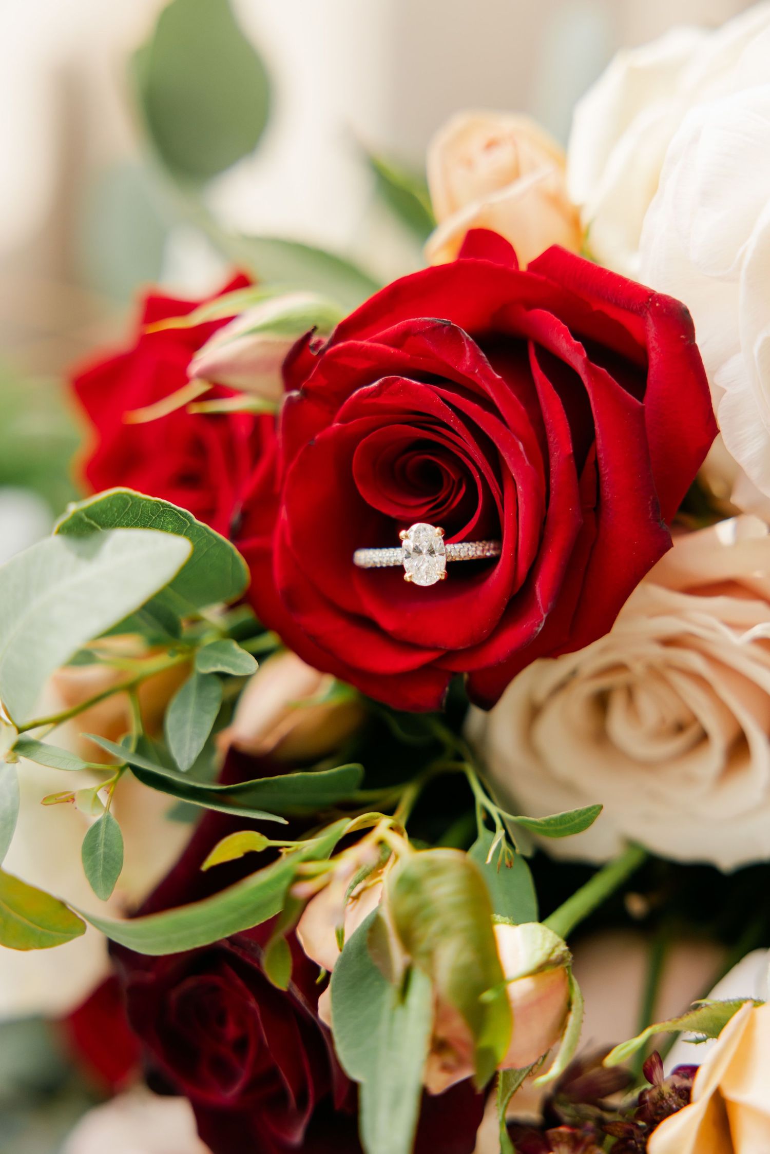 Diamond engagement ring nestled in red and cream roses with green foliage.