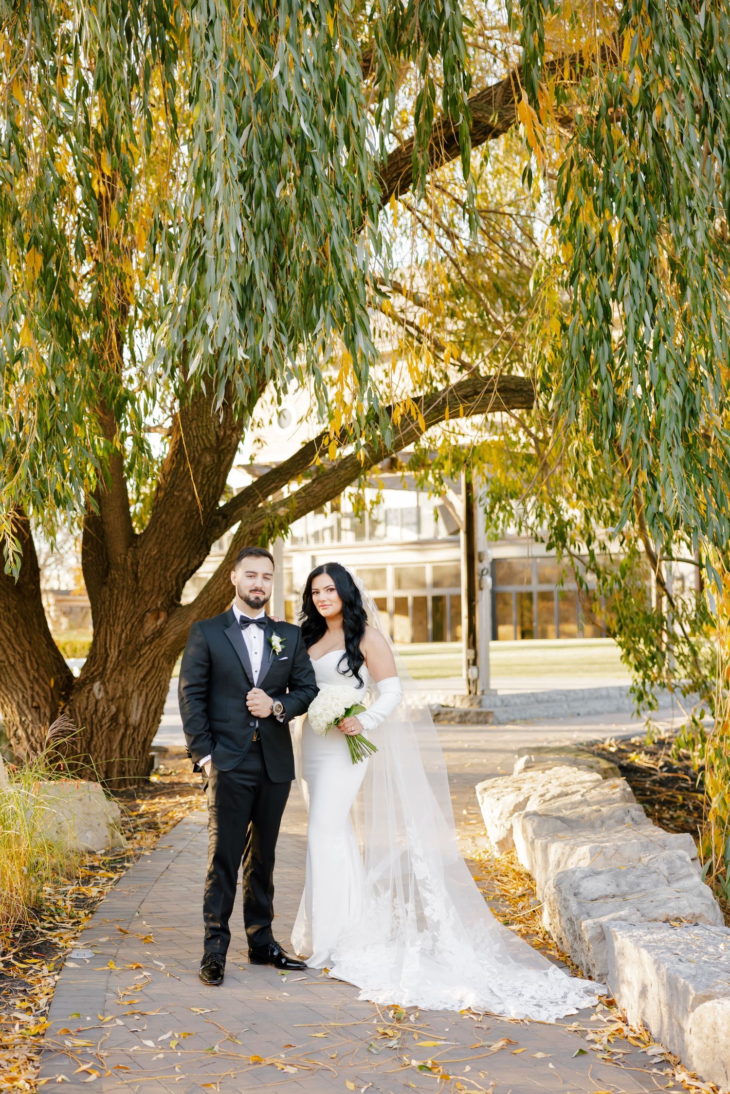 Wedding couple posing under weeping willow tree during golden hour.