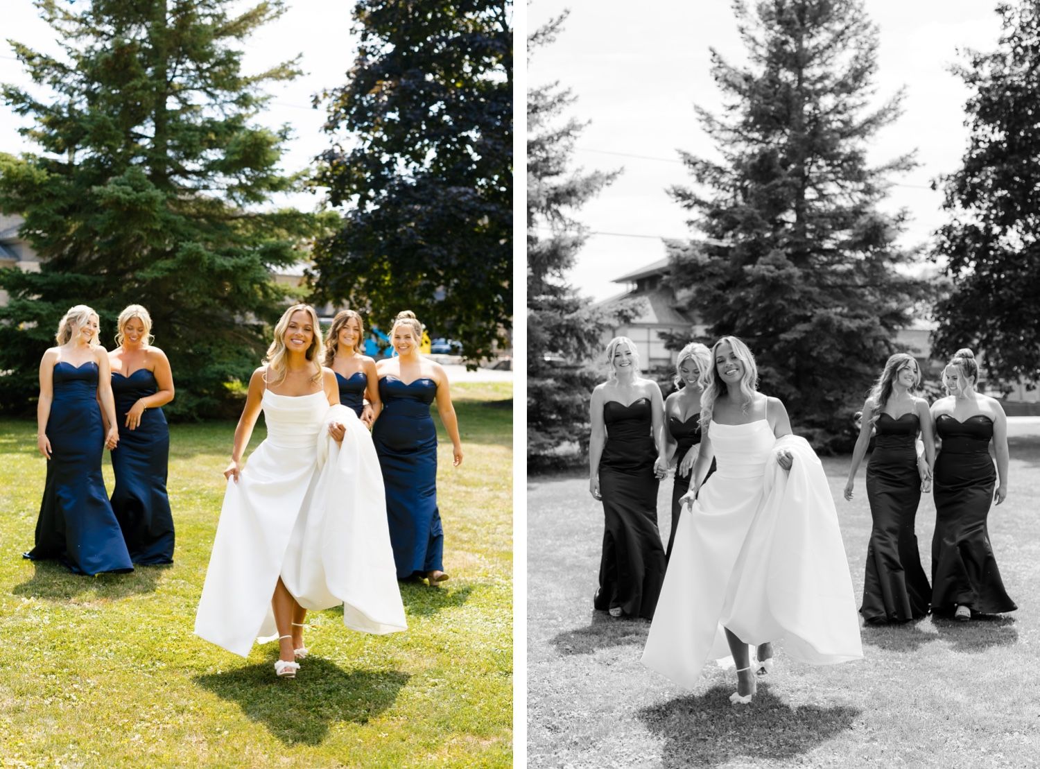 Wedding party in white and navy dresses walking together on lawn with evergreen trees.
