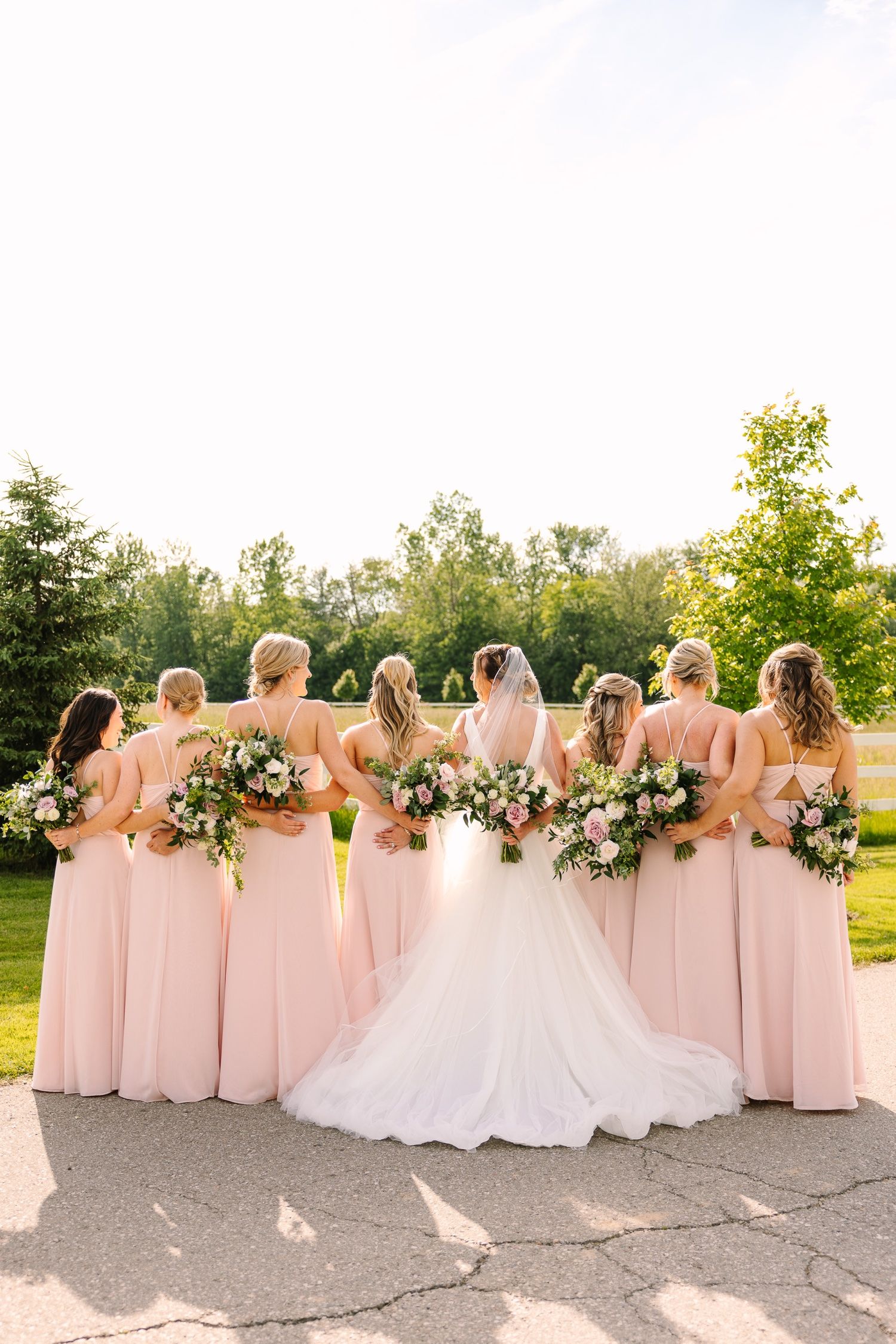 Wedding party in blush gowns pose facing away to show the dress backs against a countryside setting.