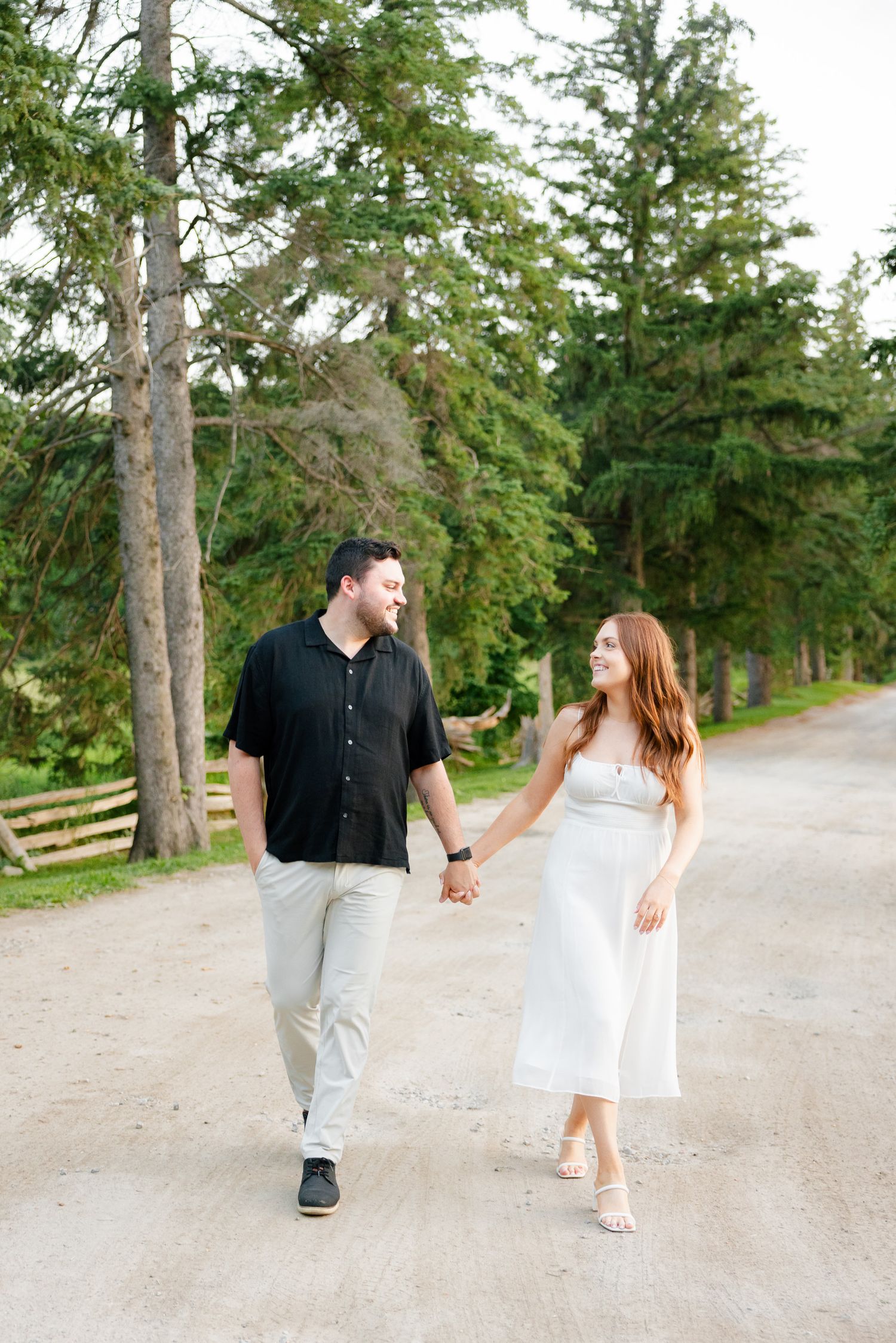 A couple walks hand in hand down a scenic path surrounded by tall pine trees.