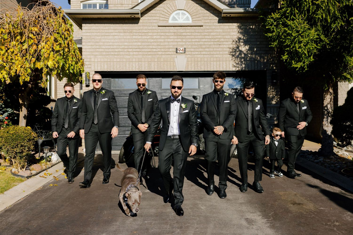 A group in dark suits walks down a driveway with a dog leading the way.